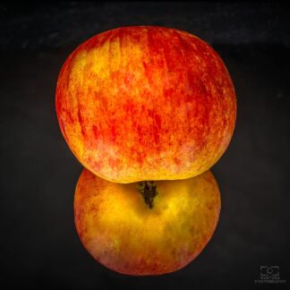 appel 'Bramley Seedling' met spiegel rode appel