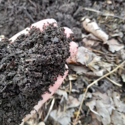 Een hand met bladcompost